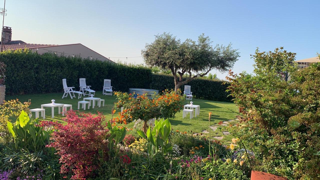 Villa Mascitti B&B Tortoreto Alto Eksteriør bilde