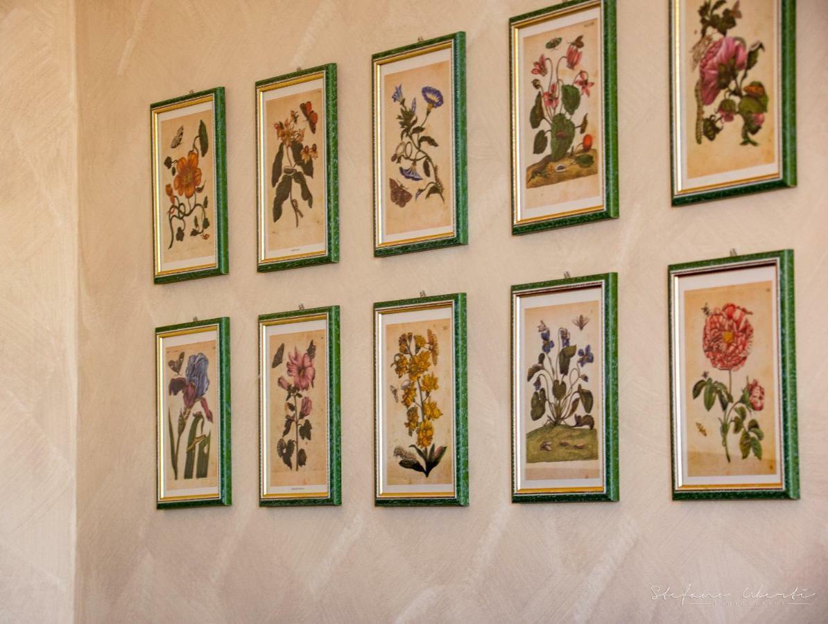 Villa Mascitti B&B Tortoreto Alto Eksteriør bilde