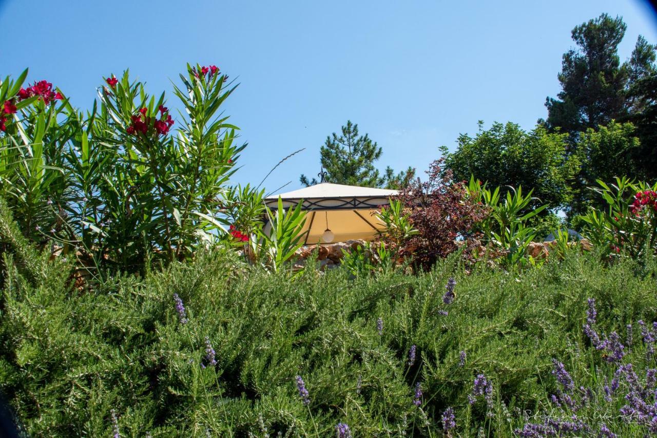 Villa Mascitti B&B Tortoreto Alto Eksteriør bilde