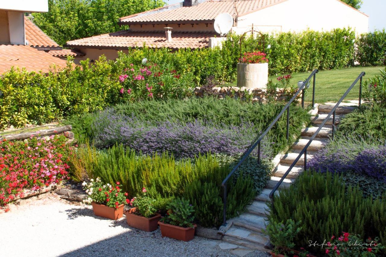 Villa Mascitti B&B Tortoreto Alto Eksteriør bilde