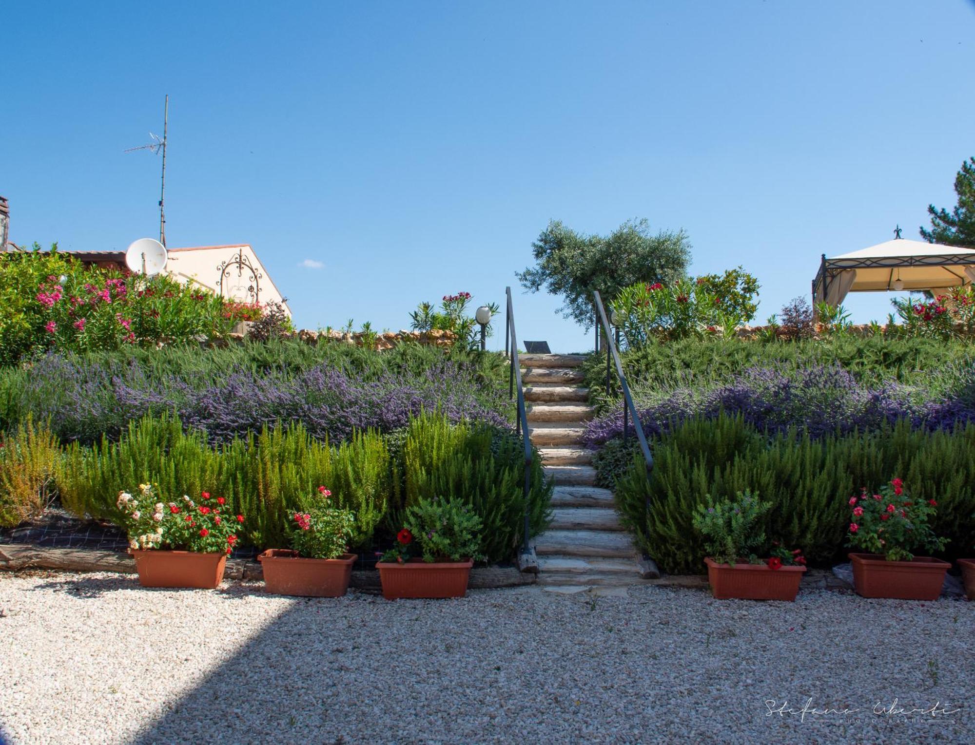Villa Mascitti B&B Tortoreto Alto Eksteriør bilde