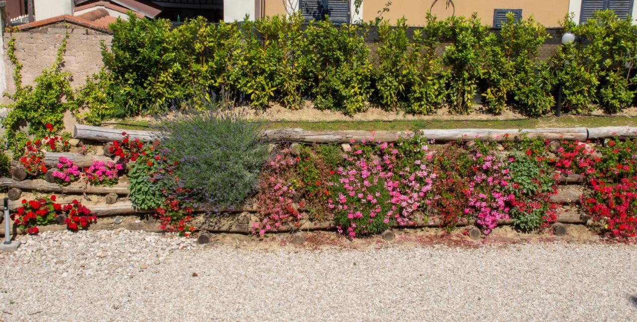 Villa Mascitti B&B Tortoreto Alto Eksteriør bilde